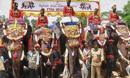 தசரா விழா யானை, பாகன்களுக்கு ரூ.67 லட்சம் இன்சூரன்ஸ்
